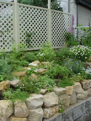 e0008586_20124021.jpg