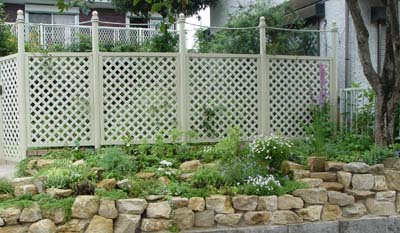e0008586_20125574.jpg