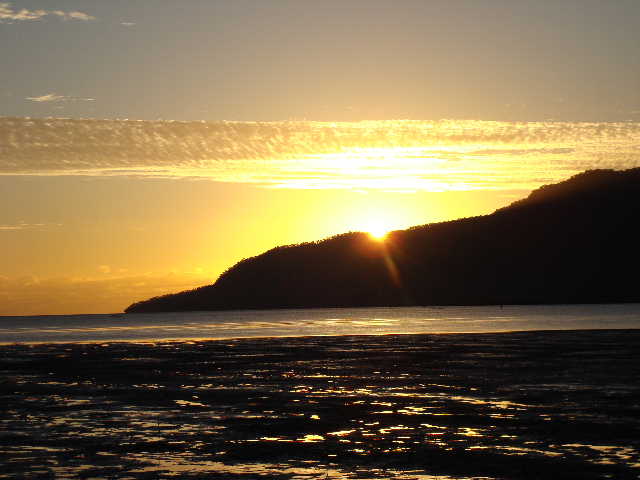 a0101000_132376.jpg