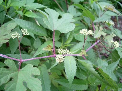 e0025300_2301180.jpg
