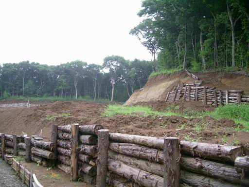 e0025300_232567.jpg