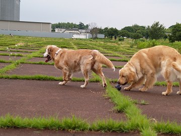 d0080601_0104168.jpg