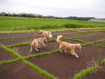 d0080601_035611.jpg