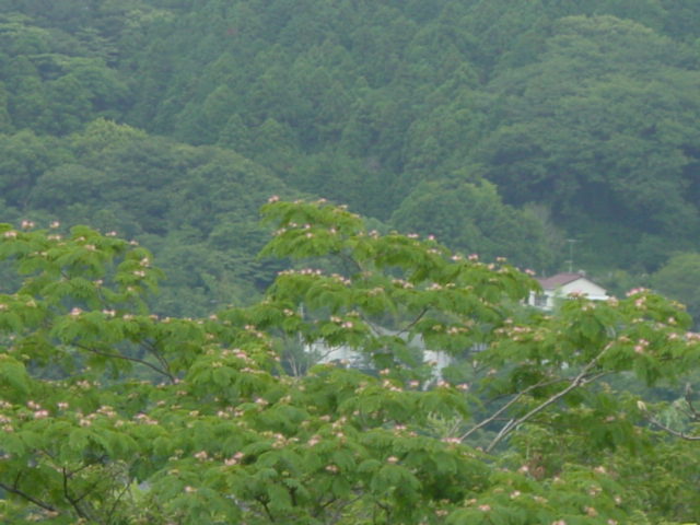 b0083902_2011818.jpg