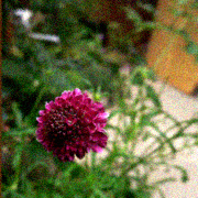 d0077603_10305547.jpg