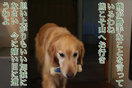 e0072606_18134823.jpg