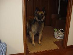 e0024630_212626.jpg