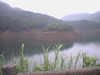c0001632_19572236.jpg