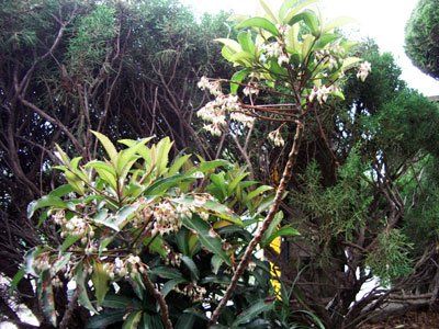 c0068639_2153643.jpg