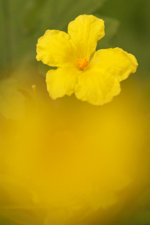 a0003746_1823223.jpg
