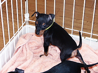 c0123149_1651086.jpg