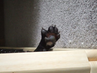 e0126054_1054549.jpg