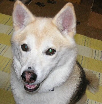 f0082855_1201124.jpg