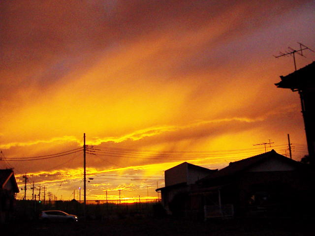 c0031856_18444690.jpg