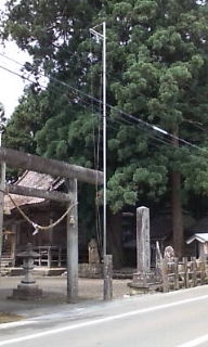 a0029157_16253647.jpg