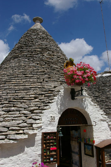 d0064366_2314345.jpg