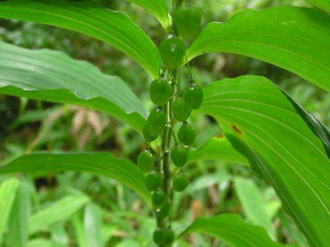 c0042869_20413075.jpg