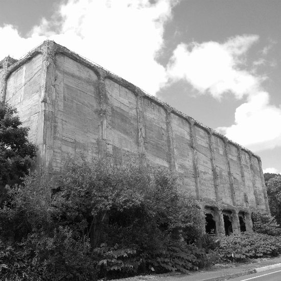 e0100772_2251079.jpg