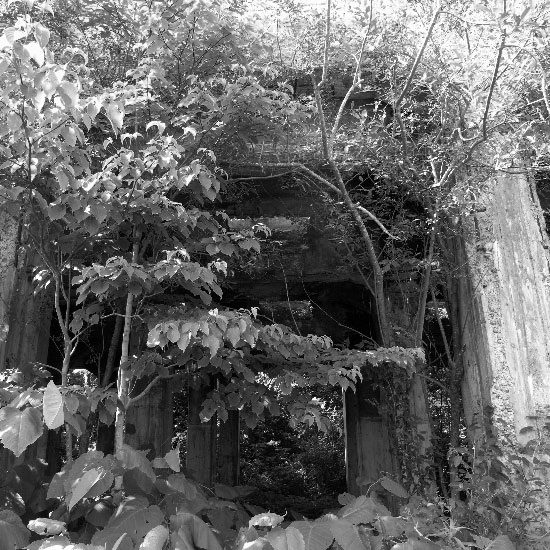 e0100772_2321950.jpg