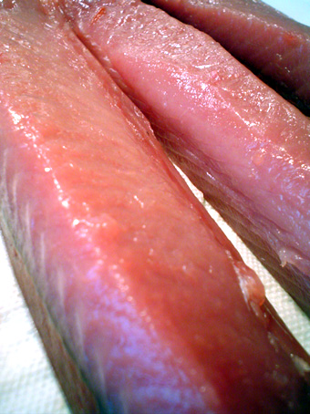 f0056476_4165573.jpg