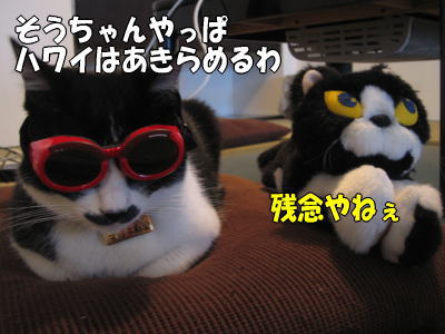 b0041182_84134.jpg