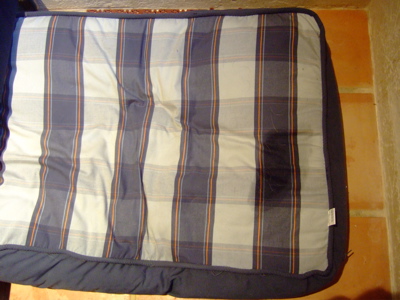 f0001698_0412158.jpg
