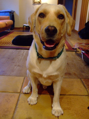 f0001698_0543047.jpg