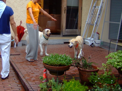 f0001698_09919.jpg
