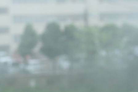 c0104599_9113489.jpg