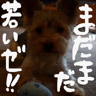 c0036617_14281879.jpg