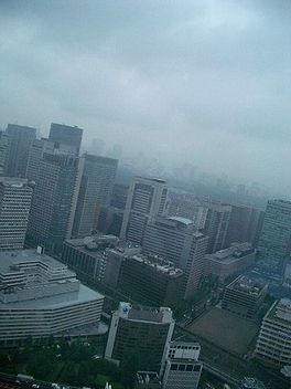 a0090126_0552277.jpg