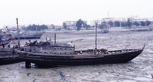 a0046429_22294263.jpg