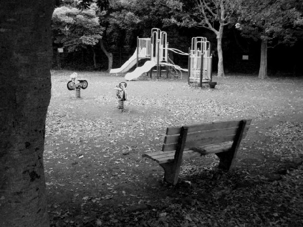 c0006633_17312253.jpg