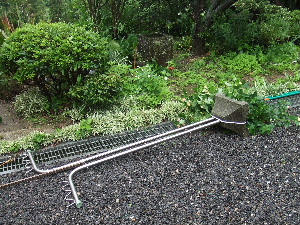 a0054240_12304940.jpg