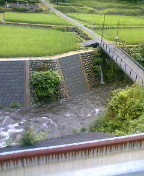 d0090842_14401197.jpg