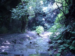 c0122445_10502621.jpg