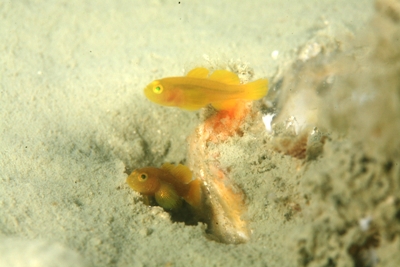 e0027447_10541220.jpg