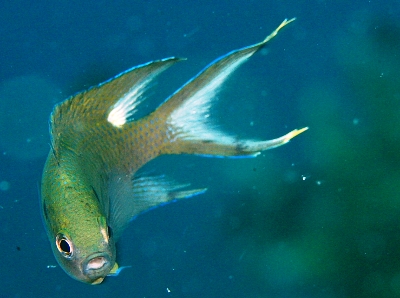 e0027447_11112851.jpg