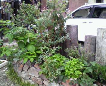 f0088647_1717954.jpg