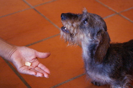 f0145758_2149653.jpg