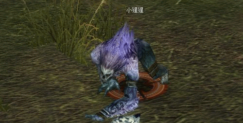 f0091762_17424266.gif
