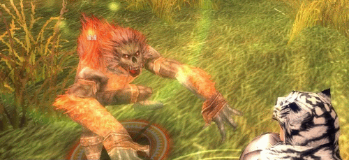 f0091762_1853815.gif