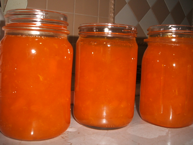 c0115366_7364533.jpg