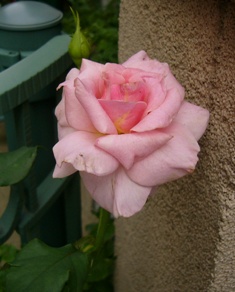 e0025872_13103589.jpg