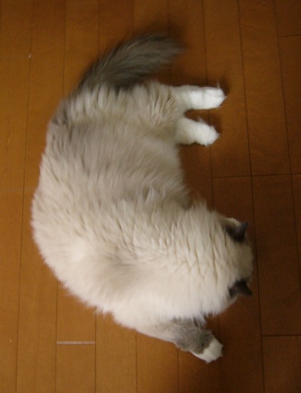 e0025872_1318040.jpg