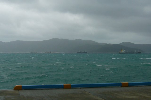 b0115085_1456860.jpg