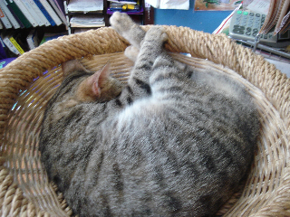 f0138588_19494157.jpg