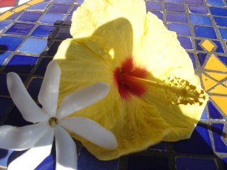 f0138588_19532656.jpg