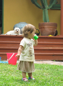d0087194_15534160.jpg