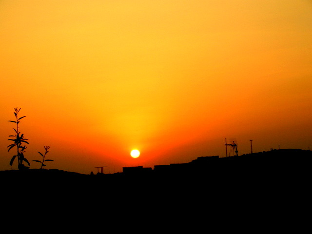 e0061699_8143593.jpg